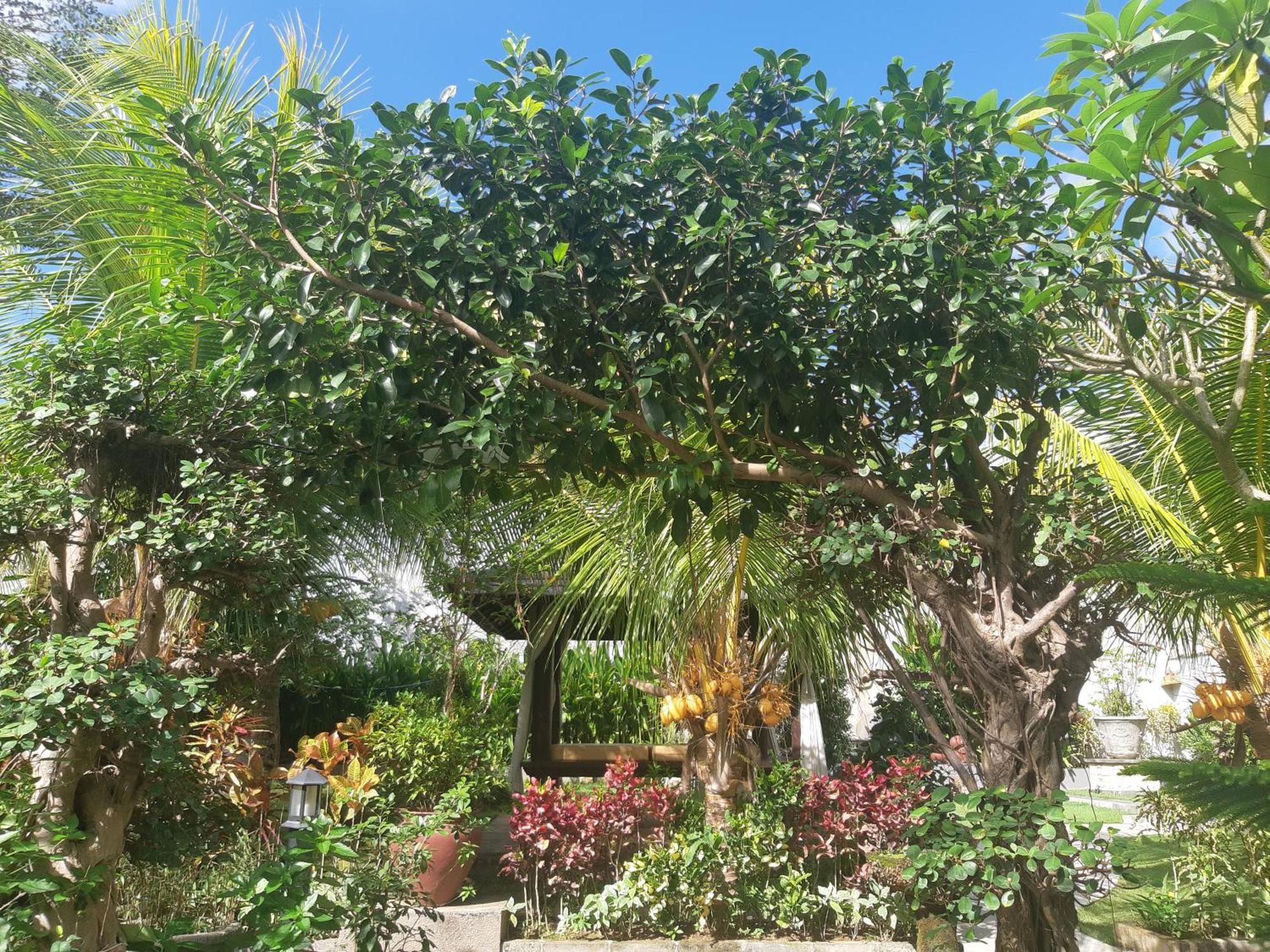 Muaya Villa Jimbaran Exteriör bild